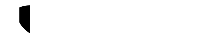Cyber Vigilance logo transparent-07